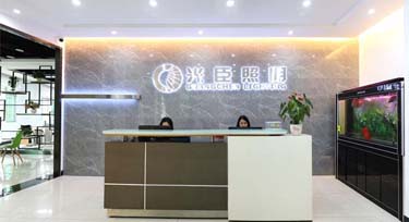 這個(gè)夏天與您邂逅一家“小清新”的洗墻燈廠家