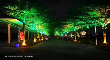 RGBW投光燈帶領光臣走進月亮湖項目